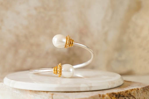 النگو دریان